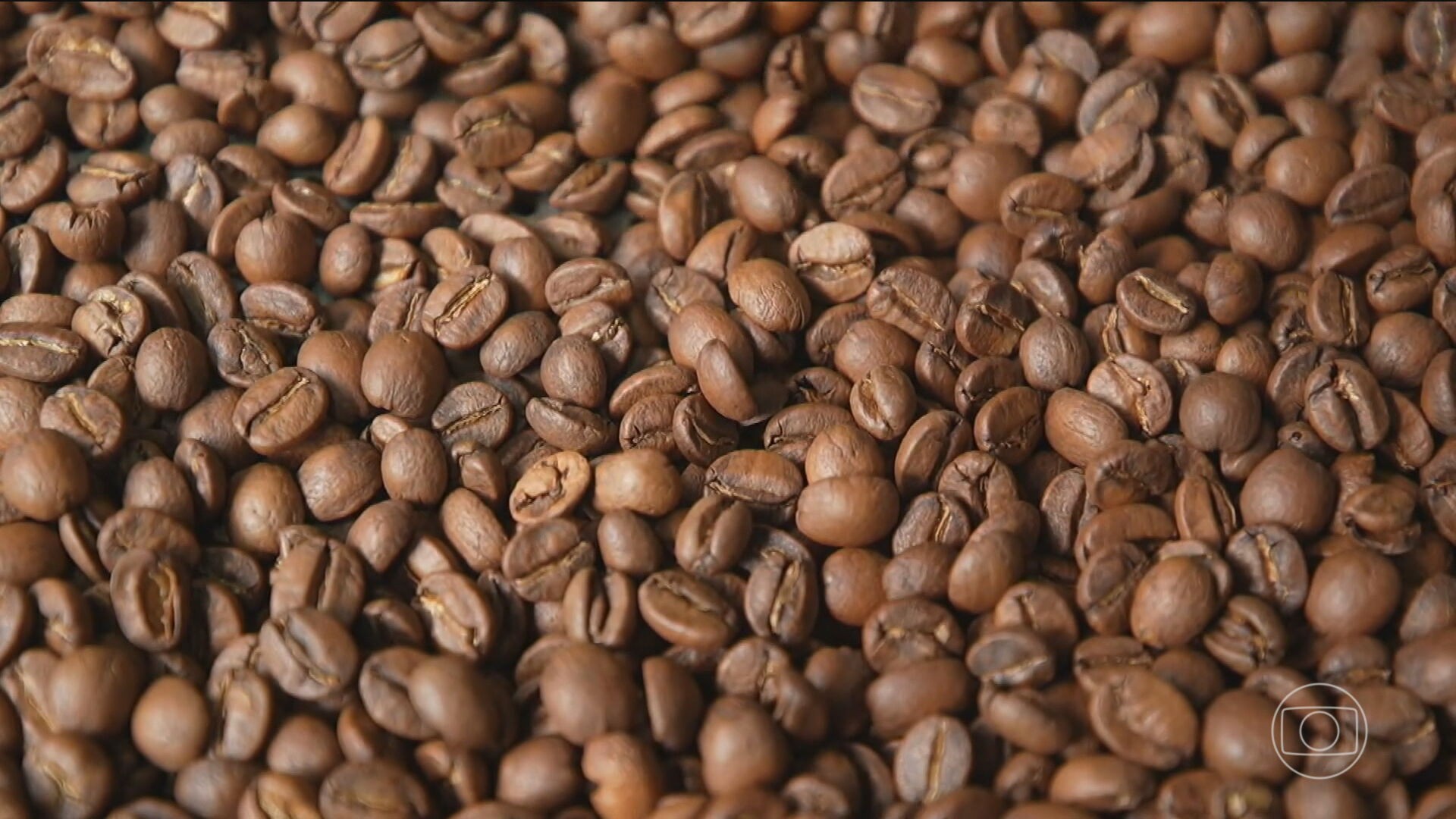 veja-quais-sao-os-produtos-que-o-agro-do-brasil-mais-vende-para-os-eua