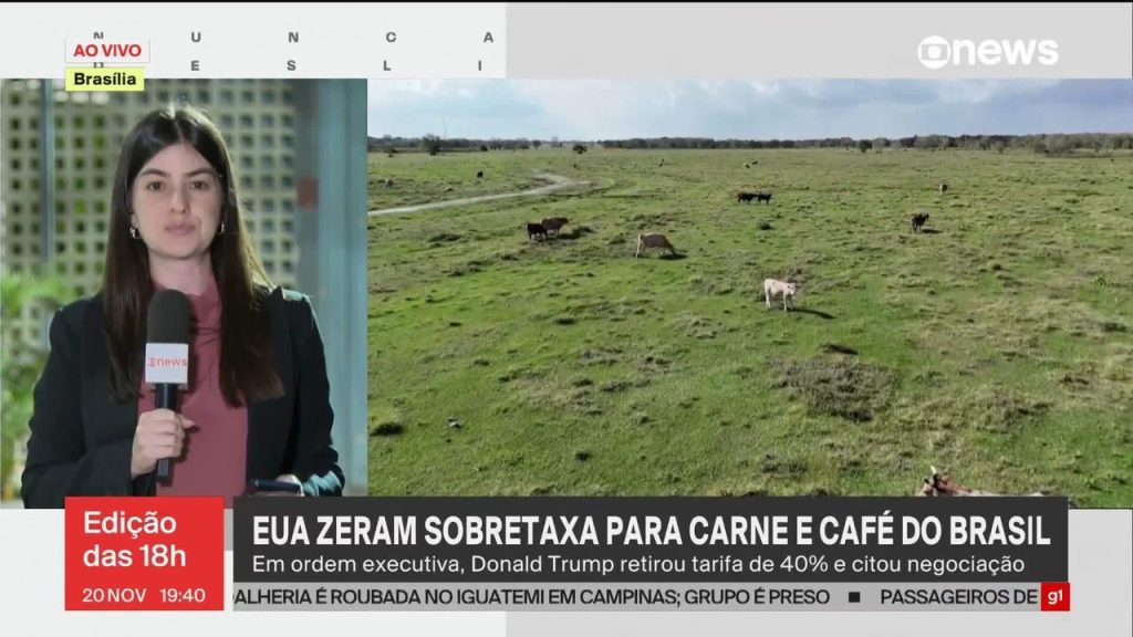 brasil-volta-a-ter-acesso-competitivo-ao-mercado-dos-eua,-avalia-ministerio-da-agricultura