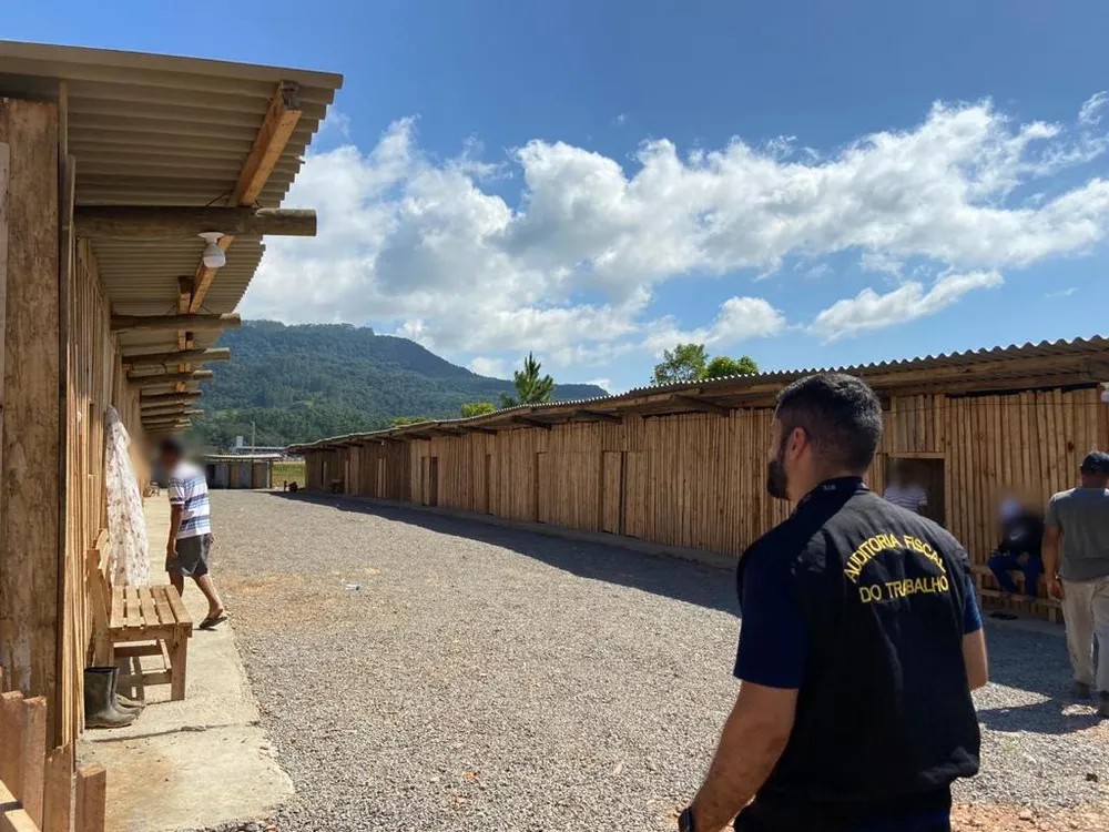 apos-o-cnu,-pais-amplia-numero-de-auditores-fiscais-do-trabalho,-mas-deficit-ainda-e-evidente