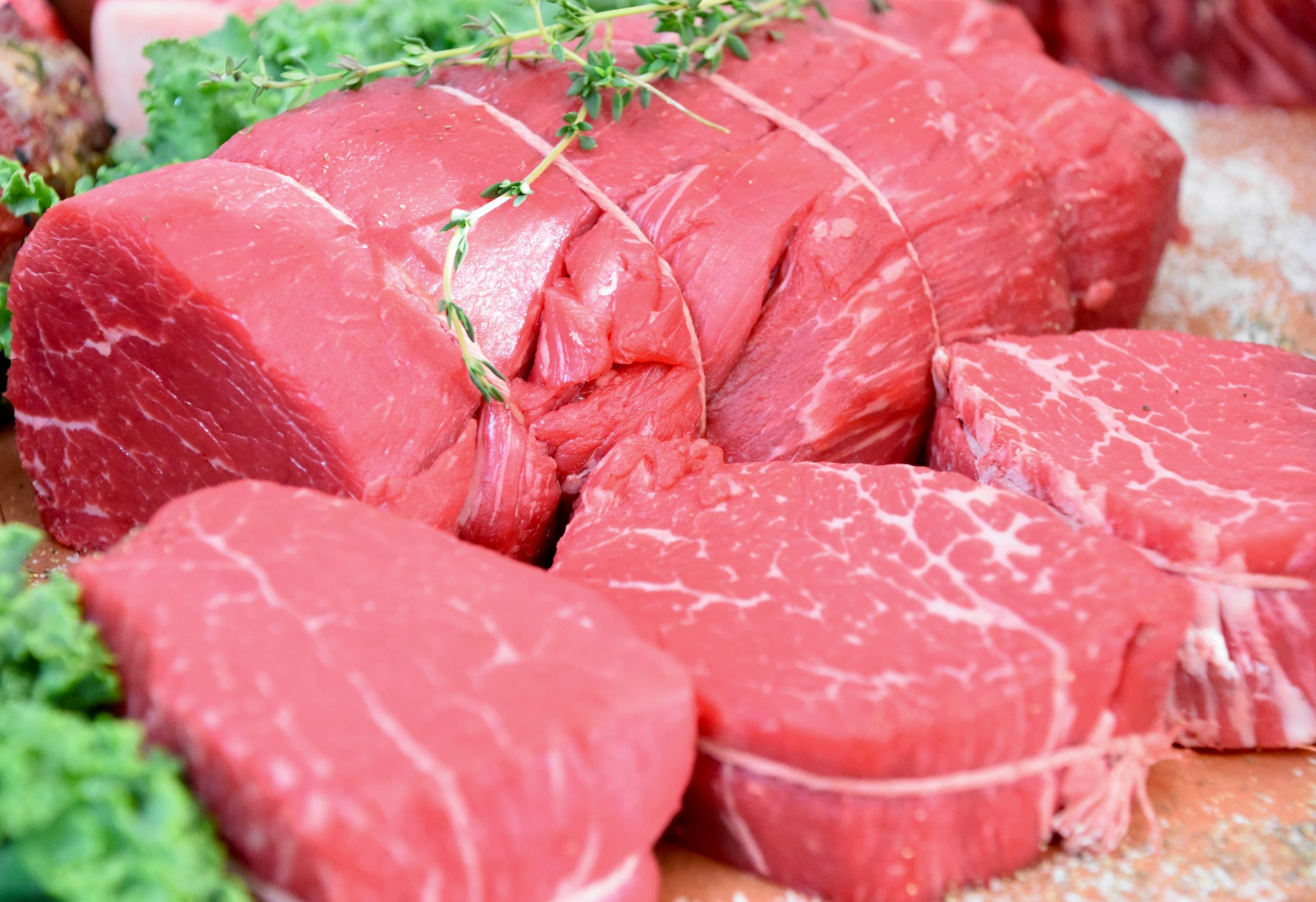 veto-a-carne-do-brasil:-por-que-a-uniao-europeia-quer-mais-controle-sobre-antibioticos-na-pecuaria